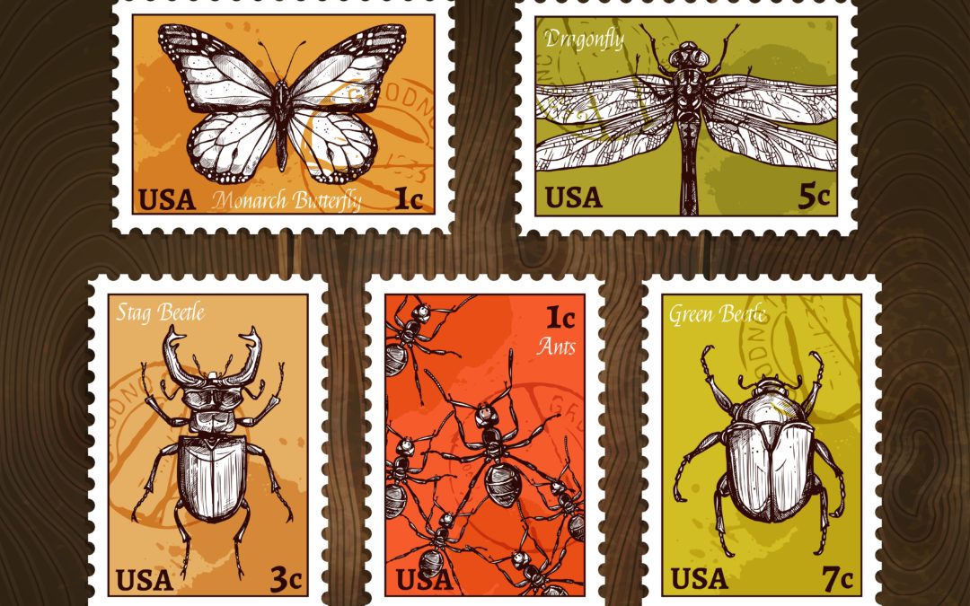 collections de timbres
