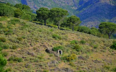 Menhirs et Dolmens à visiter dans les montagnes de l’Albera